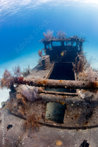 Old, coral encrusted shipwreck on the sea floor photo