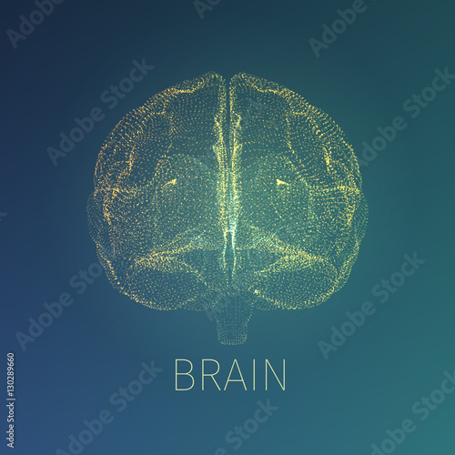 Abstract brain vector illustration. Xray view inside head. Neurology banner