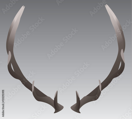 Isolated Elk horns or antlers vector illustration on a neutral background