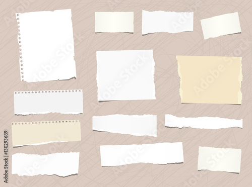 Pieces of different size ripped note, notebook, copybook paper stuck brown background