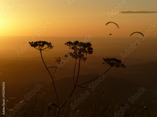 Rhön Paraglider photo