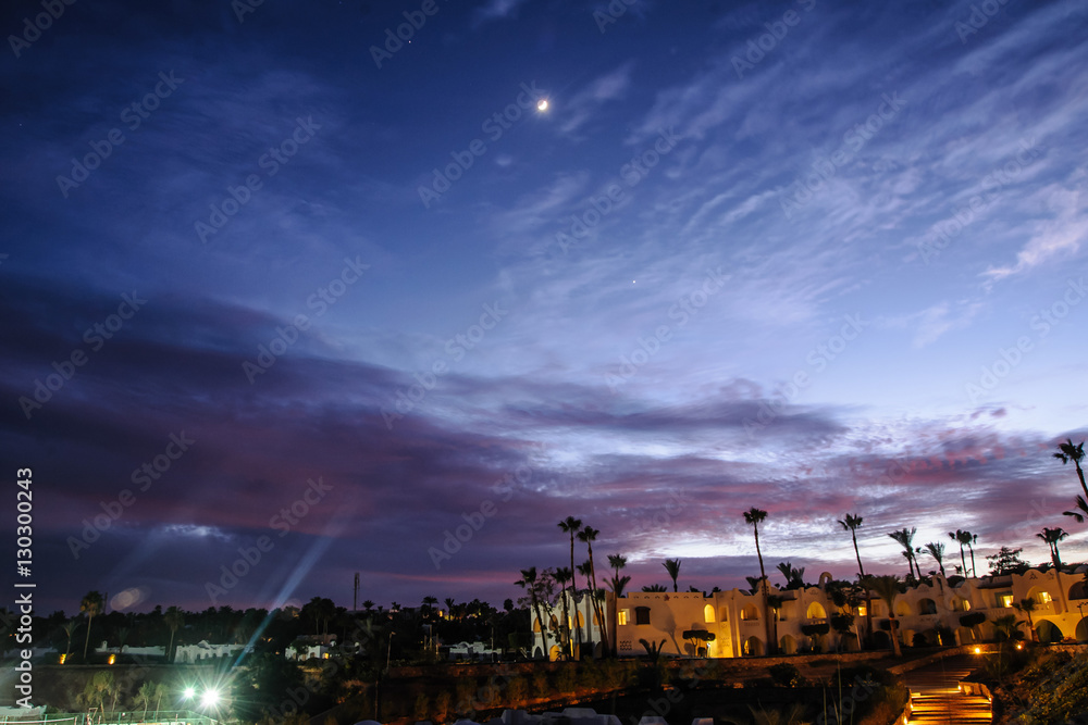 night in tropical location red sea palm purple sky nice sea night in tropical location red sea palm purple sky nice sea