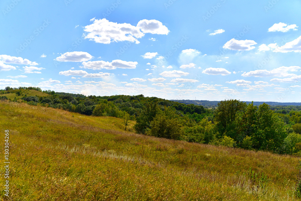 Beautiful summer landscape. Grass, trees, clouds, sky, forest. T