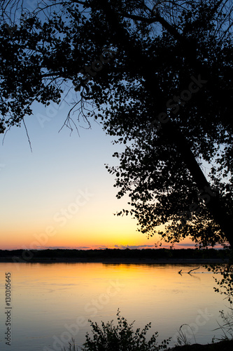tree silhouette on the river on a sunset background