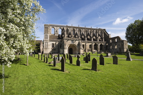 Malmesbury Abbey, Malmesbury, Wiltshire photo