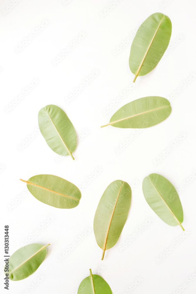 Naklejka premium green leaves on white background. flat lay.