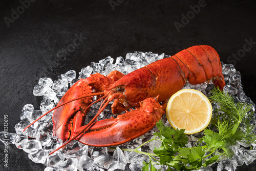 最高級ロブスター　 High-quality lobster photo