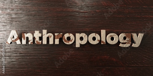 Anthropology - grungy wooden headline on Maple  - 3D rendered royalty free stock image. This image can be used for an online website banner ad or a print postcard. photo