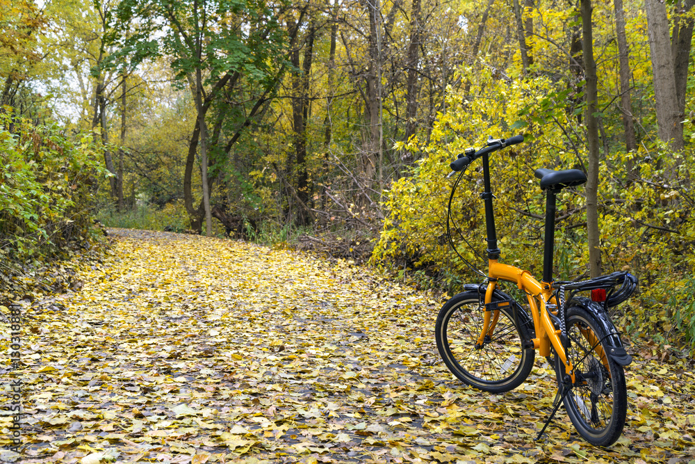 Fototapeta premium Orange folding bike in the forest an autumn day