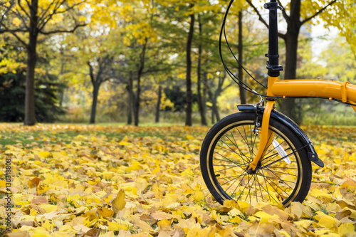 Orange folding bike in the forest an autumn day © COSPV