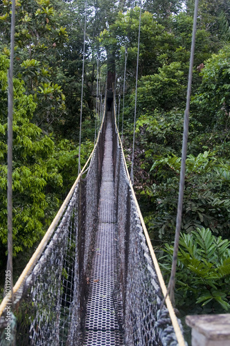 Canopy walkway at Atta Rainforest Lodge near Iwokrama, Guyana