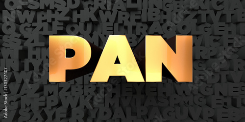 Pan - Gold text on black background - 3D rendered royalty free stock picture. This image can be used for an online website banner ad or a print postcard.