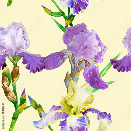 Fototapeta Naklejka Na Ścianę i Meble -  Seamless pattern with colored irises