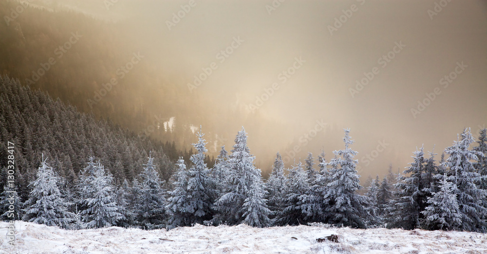 Fototapeta premium amazing winter sunrise through fog in the mountains
