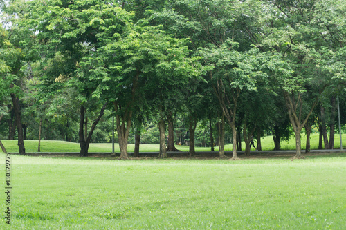 Fototapeta Naklejka Na Ścianę i Meble -  Green park at Vachirabenjatas Park (Rot Fai Park) Bangkok, Thailand