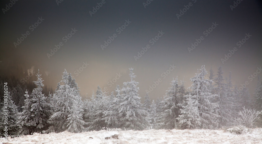 Naklejka premium amazing winter sunrise through fog in the mountains