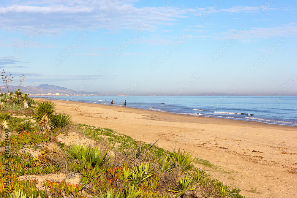 Wide sandy beach in Costa Blanca, Valencia region, Spain. Native plants and horsemen on the beach. Wide sandy beach in Costa Blanca, Valencia region, Spain. Native plants and horsemen on the beach.