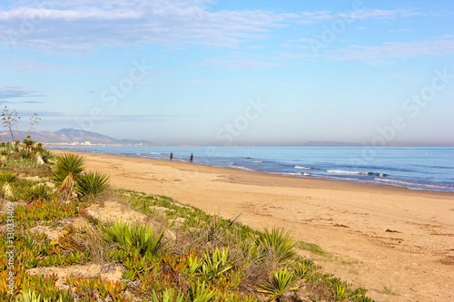 Wide sandy beach in Costa Blanca  Valencia region  Spain. Native plants and horsemen on the beach.