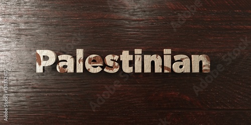 Palestinian - grungy wooden headline on Maple - 3D rendered royalty free stock image. This image can be used for an online website banner ad or a print postcard.