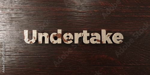 Undertake - grungy wooden headline on Maple  - 3D rendered royalty free stock image. This image can be used for an online website banner ad or a print postcard.