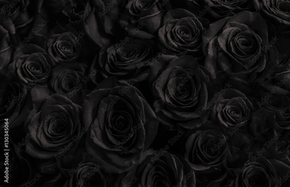 Fototapeta Czarne róże tło. kartkę z życzeniami z róż