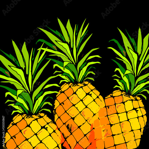 pineapple, vector, fruit, food, tropical, summer, design photo