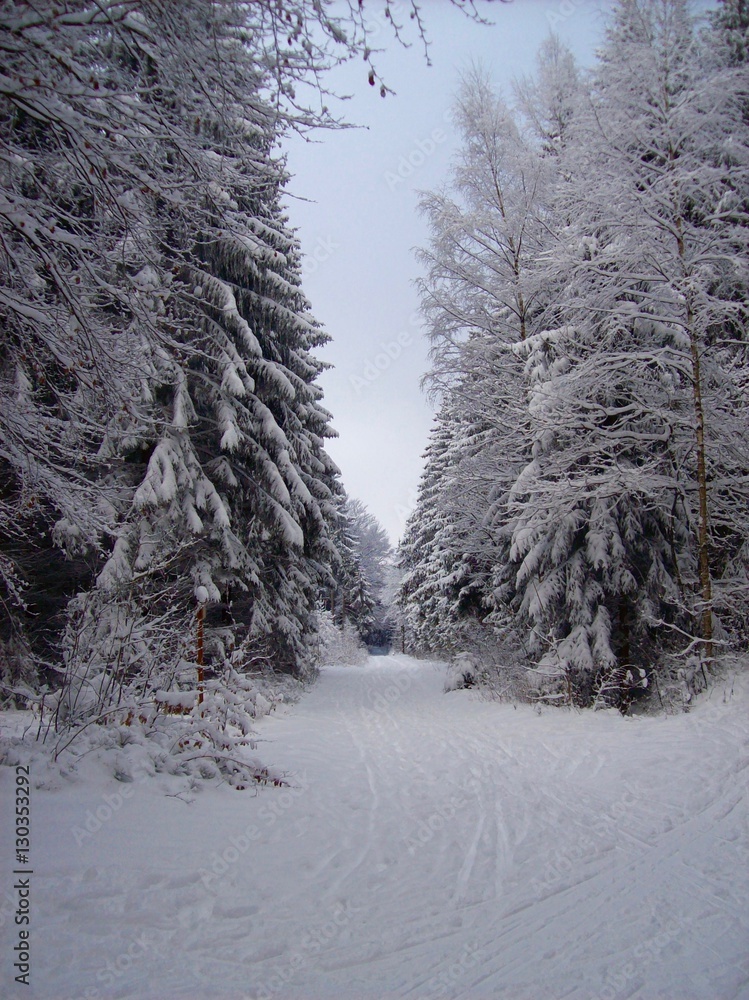 Obraz premium Winter time