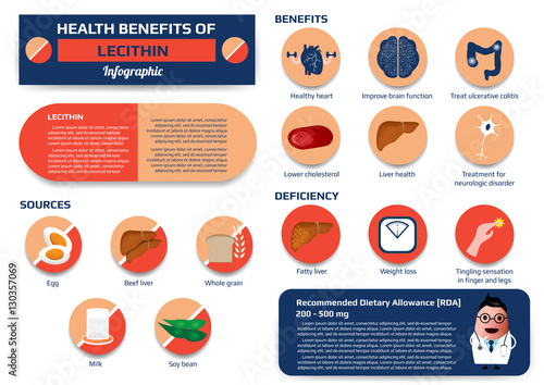 Health benefits of lecithin infographic including of sources, benefits and deficiency, supplement medical vector illustration for education. photo