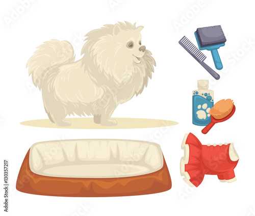 Dogs Set of accessories for dogs.