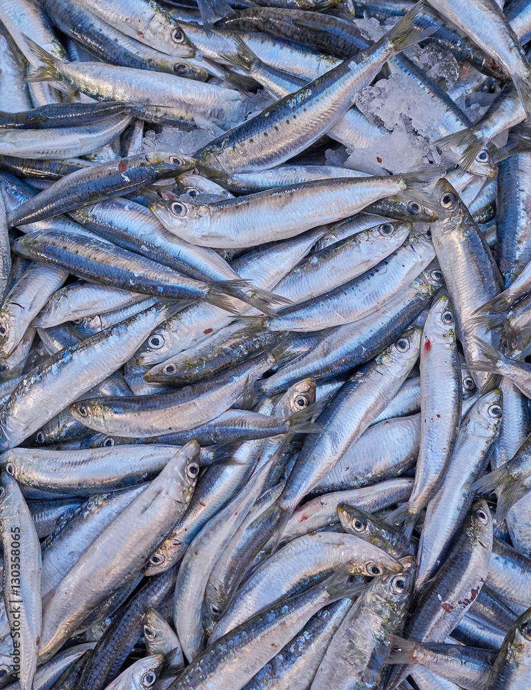 fresh anchovies closeup at the locala market