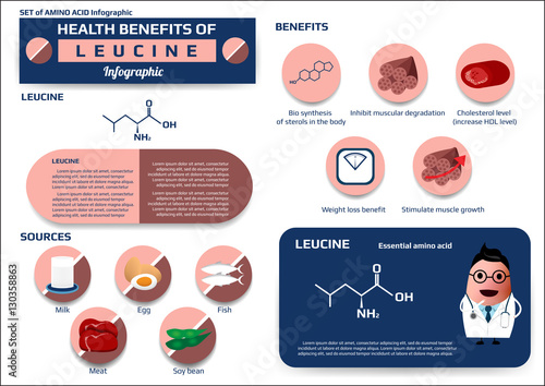 Health benefits of leucine (essential amino acid) infographic,supplement and nutrition vector illustration photo