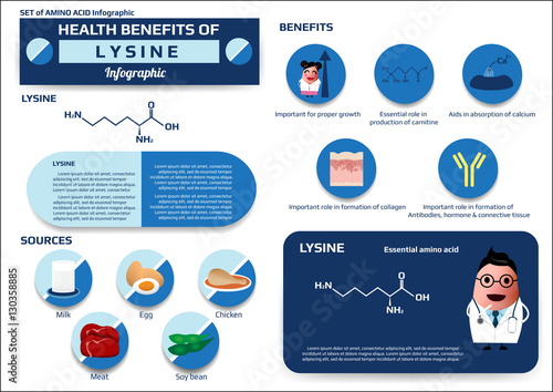 Health benefits of lysine (essential amino acid) infographic,supplement and nutrition vector illustration photo