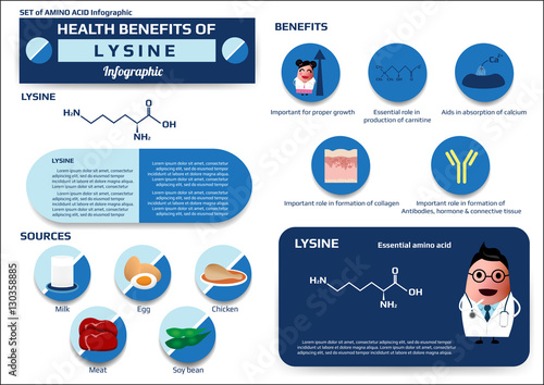 Health benefits of lysine (essential amino acid) infographic,supplement and nutrition vector illustration