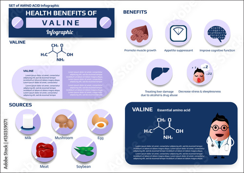 Fototapeta Naklejka Na Ścianę i Meble -  Health benefits of valine (essential amino acid) infographic, supplement and nutrition vector illustration