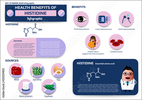Health benefits of histidine (essential amino acid) infographic, supplement and nutrition vector illustration