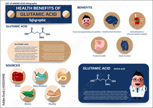 Health benefits of glutamic acid (amino acid) infographic, supplement and nutrition vector illustration photo