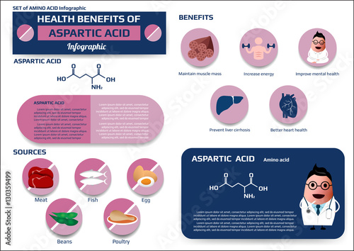 Health benefits of aspartic acid (amino acid) infographic, supplement and nutrition vector illustration
