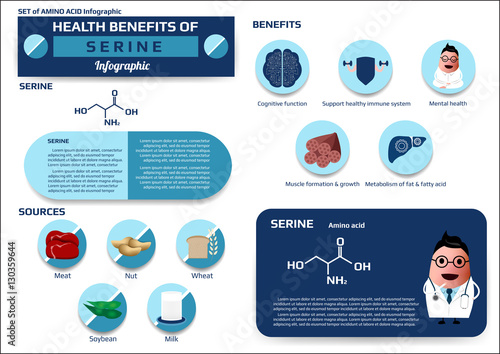 Health benefits of serine (amino acid) infographic,supplement and nutrition vector illustration