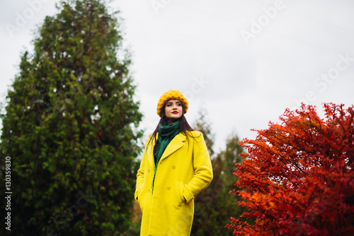 Portrait of a beautiful girl in the autumn park