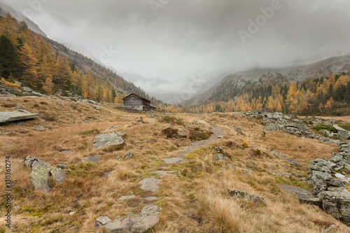 walking at fall in a cloudy day in a mountain valley