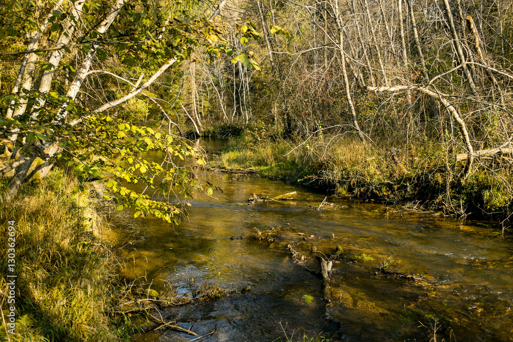 Forest river in autumn sunny evening Forest river in autumn sunny evening