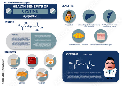 Health benefits of cystine (amino acid) infographic,supplement and nutrition vector illustration