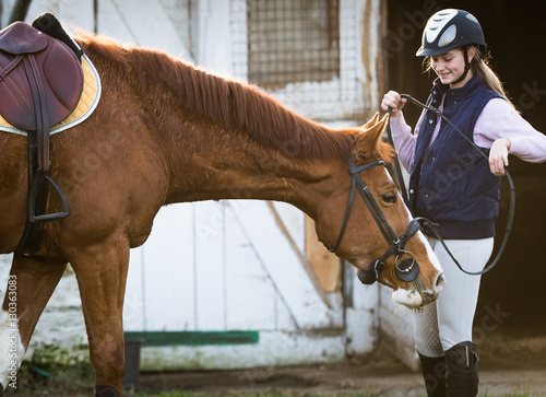 Fototapeta Naklejka Na Ścianę i Meble -  Young girl preparing horse for ride