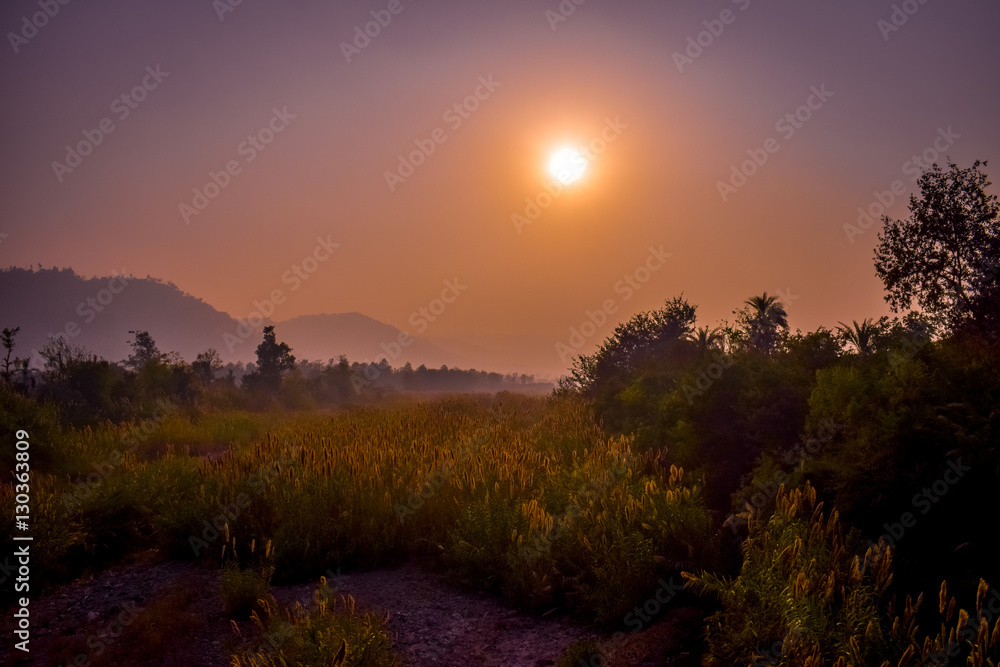 Nature landscape sunset field red pink yellow sky Nature landscape sunset field red pink yellow sky