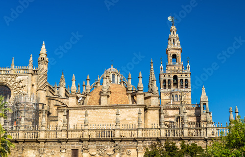 Cathedral of Saint Mary of the See in Seville - Andalusia  Spain