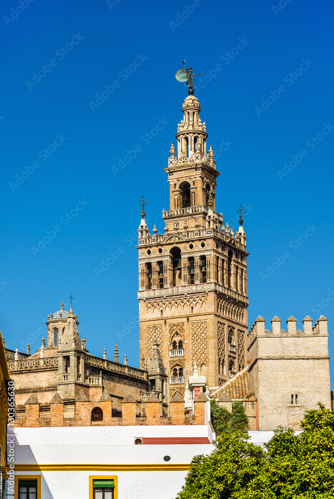 View of Seville Cathedral - Andalusia, Spain