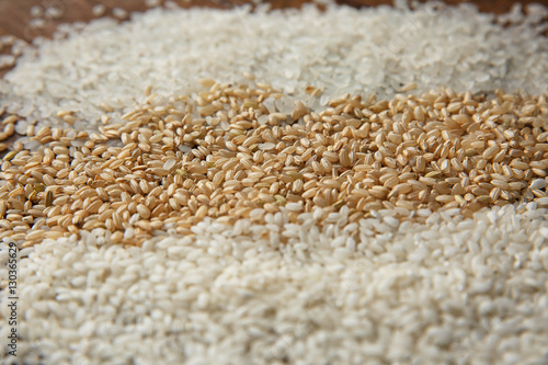 Different kinds of rice background