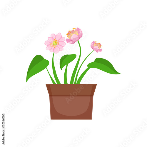 Home Pink Flower With Heart Shape Leaves In The Flowerpot, Flower Shop Decorative Plants Assortment Item Cartoon Vector Illustration