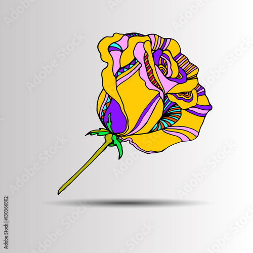 floral flower rose spring summer background botanical
