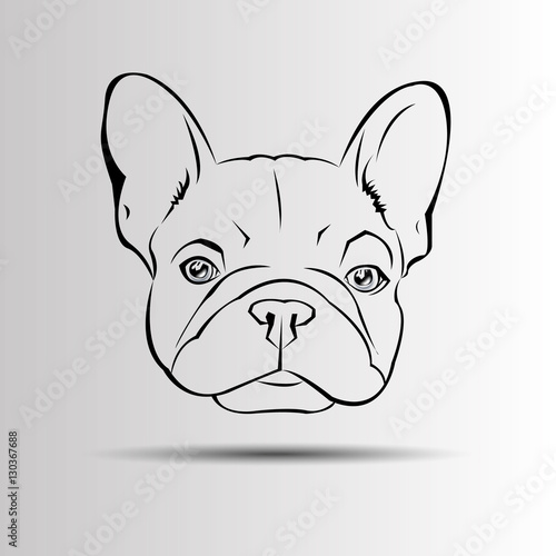 dog vector breed cute animal bulldog french